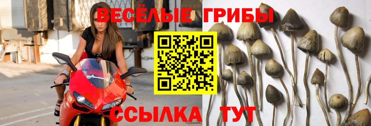 Владивосток  хочу наркоту  Вход с VPN  Галлюциногенные грибы мухоморы 